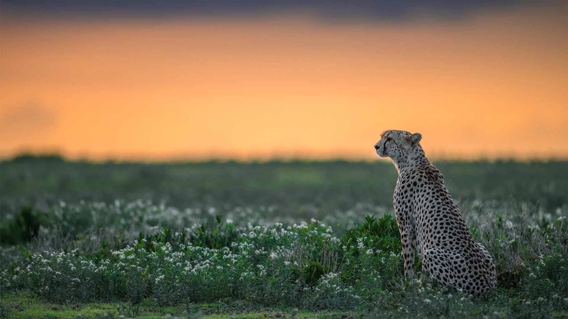 _传统赛事焕新颜：经典场地带来新颖体验_，赛事活动宣传